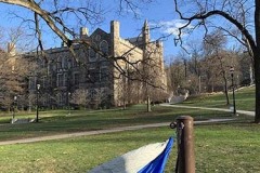 Hammocking on campus near Linderman (2021). Submitted by Noor Baban '22.