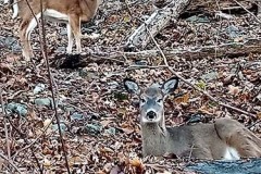 Two Models, taken on December 3, 2019, behind Dravo. Submitted by Jamila Shah '23.